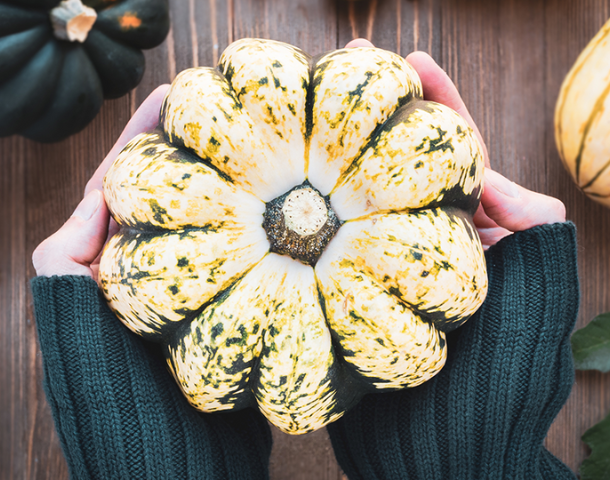 fall-in-love-with-autumnal-flavors-by-learning-how-to-cook-acorn-squash