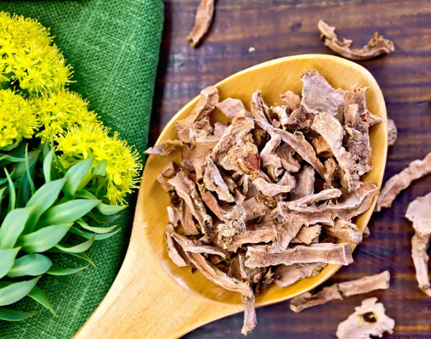 is-a-rhodiola-supplement-all-you-need-to-fight-off-stress?